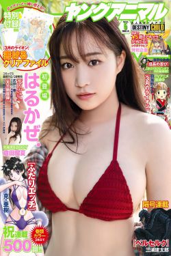 湖南日报谈腐败夫妻