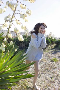 东北娘们国语版免费播放